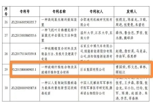 嘉興首金！巨石集團(tuán)摘得中國專利獎(jiǎng)金獎(jiǎng)