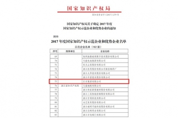 巨石集團被評為2017年度國家知識產權示范企業(yè)